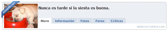 grupo facebook siesta