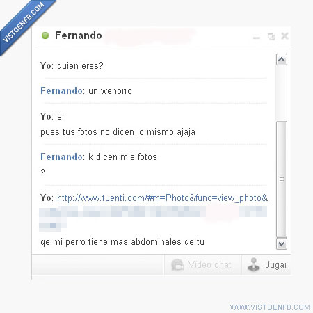 pringao,perro,abdominales