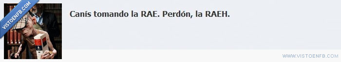 vergüenza,RAE,desgracia,canis