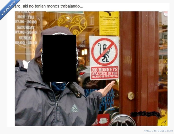 prohibido,monos,cartel,cafeteria