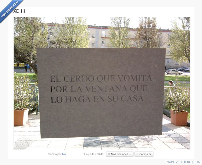 vomitar,ventana,cerdo