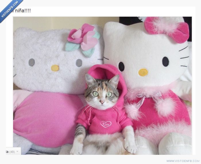 peluche,hello kitty,gato,disfraz,animal