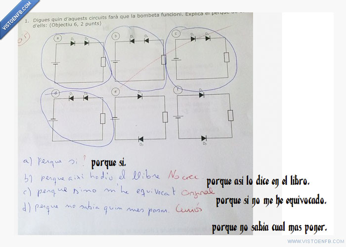 orgullo,notas,examen,cani