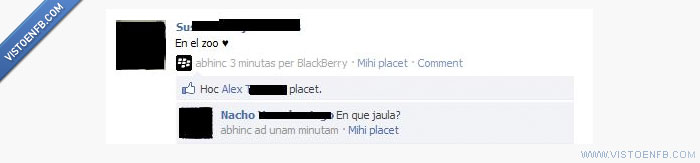 zoo,owned,jaula,fail