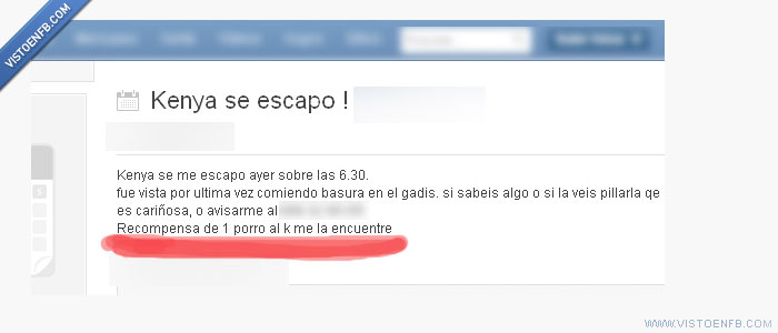 recompensa,porros,kinkis,drogas