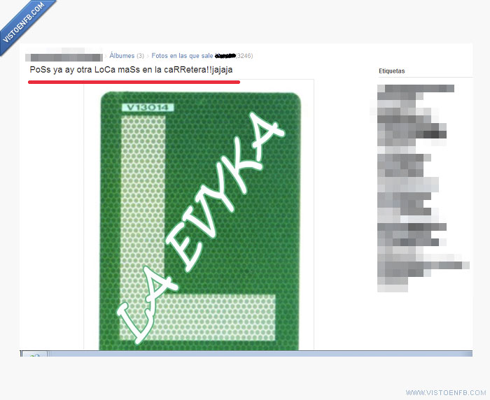 loca,carretera,carnet de conducir,cani