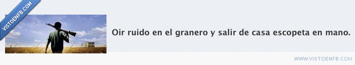 tipico,ruido,pelicula,oir,mano,granero,escopeta,epic,americana