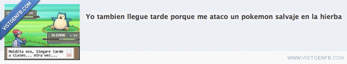 tarde,salvaje,pokemon,llegar,hierba,atacar