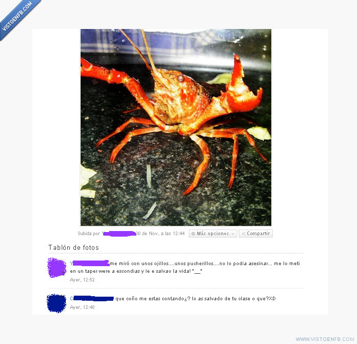 simpsons,mascota,foto,animales