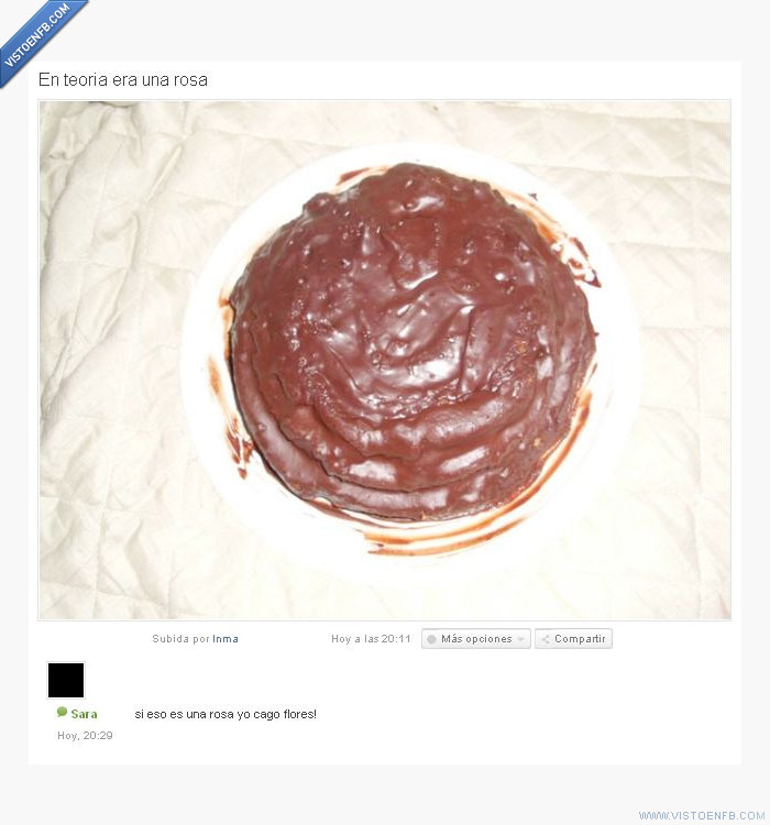 tarta,mojón,mierda,flor,chocolate,apetitoso