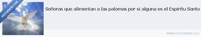palomas,señoras,espiritu santo,alimentar