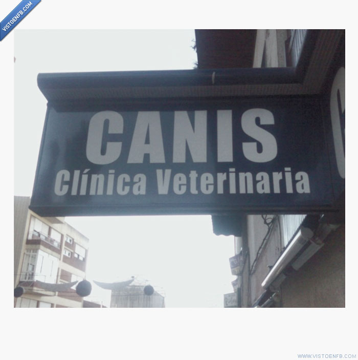 clinica veterinaria,cartel,cani