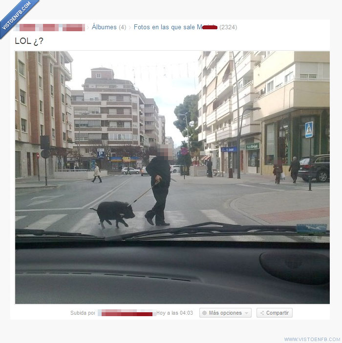 LOL.,Jabalí,Hombre,Anciano