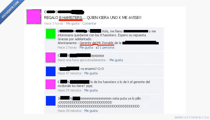 mcdonalds,hamster,hamburguesa,Fail