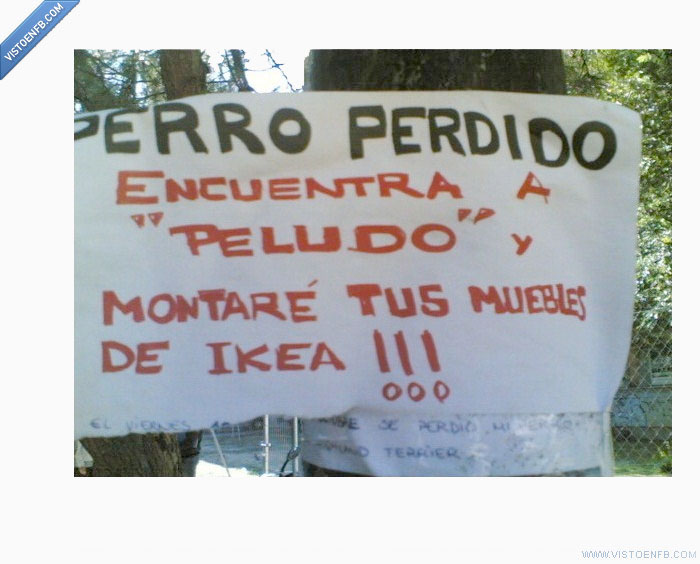 perro,muebles Ikea,ayudame