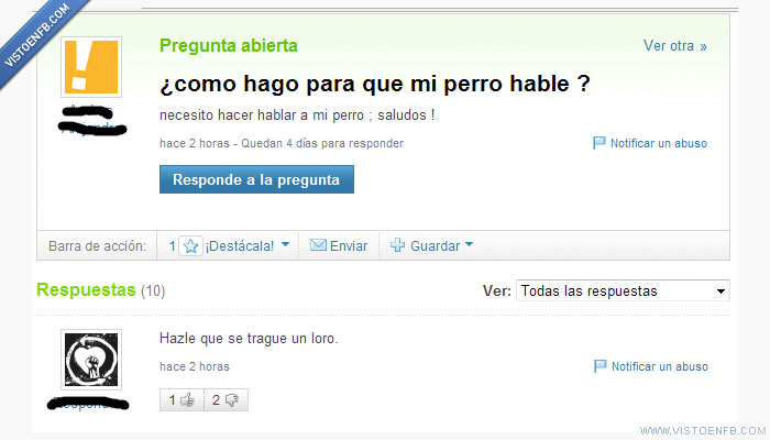 perro,loro,yahoo respuestas