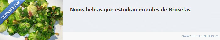 niños,colegio,Bruselas,belgas