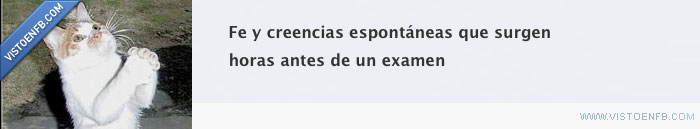 rezar,religión,grupo,facebook,exámenes,estudiar,creencias