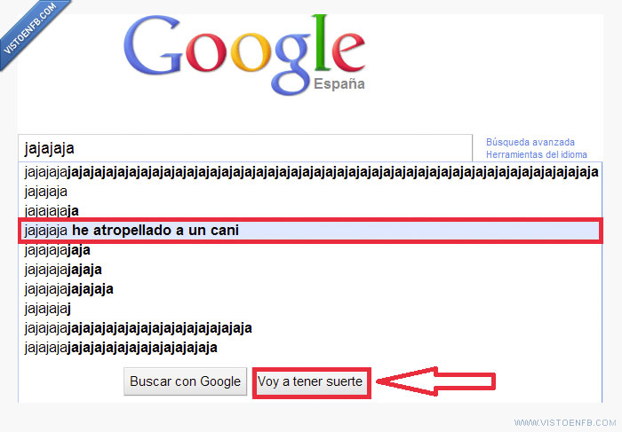 google,cani,atropello