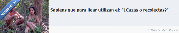 sapiens,recolectas,ligar,cazas