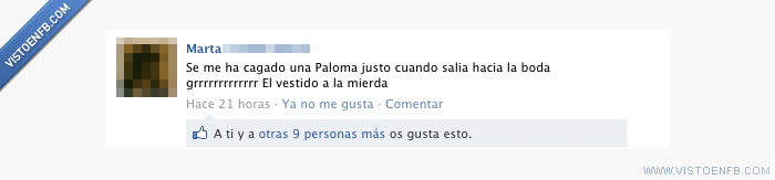 paloma,mil me gustas,cagar