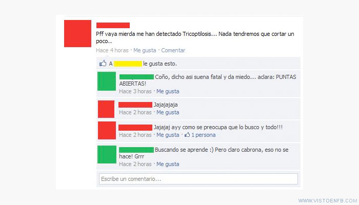 tricoptilosis,puntas abiernas,pija