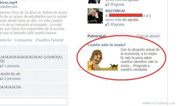 novia,crisis,camellos,cambiar