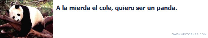 cole,grupo,panda