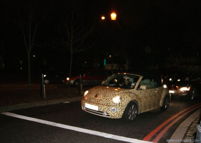 leopardo,coche,chonicar,choni