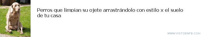 perro,ojete,casa
