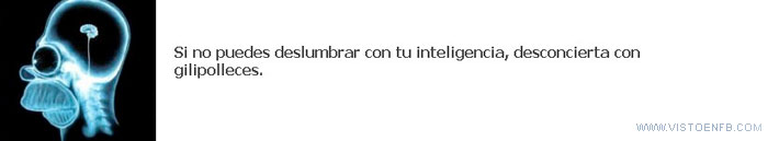 deslumbra,gilipolleces,inteligencia