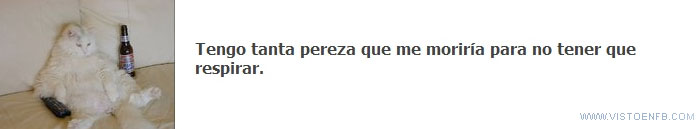 respirar,pereza,morir,gato