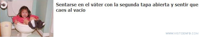váter,vacío,sentarse,caer
