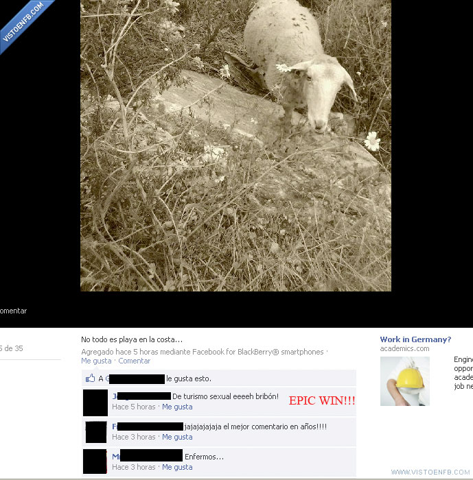 turismo,playa,epic win