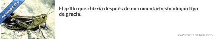 poca,nada,grillo,gracia,comentario,chirriar