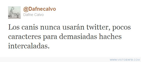 twitter,ortografía,haches,Canis