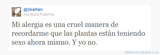 twitter,primavera,alergia