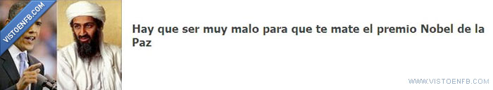 paz,obama,nobel,matar,bin laden