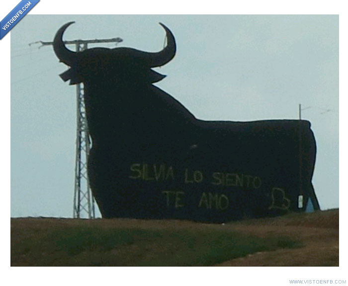 toro,osborne,declaración,arrepentimiento