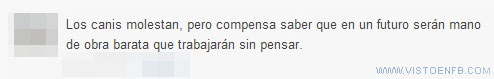 mano de obra barata,estado,canis