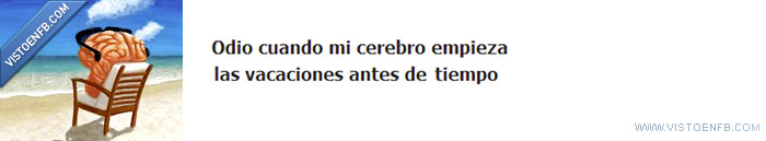 vacaciones,estudio,cerrebro