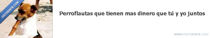 yo,tu,perroflautas,dinero
