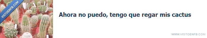 tiempo,regar,ocupado,cactus