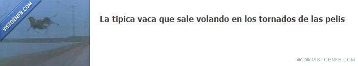 vaca voladora,tornado,pelis