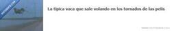 Enlace a Vaca voladora