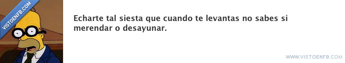 siesta,merendar,dormir,desayunar