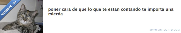 caras,facebook,fans,gatos,grupos,humor