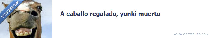 yonki,regalar,muerto,etiquetasinningunsentido,caballo