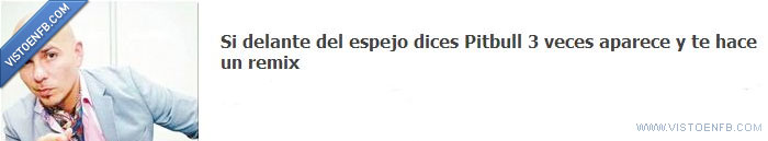 remix,pitbull,espejo