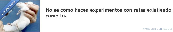 gente,experimentos,ratas